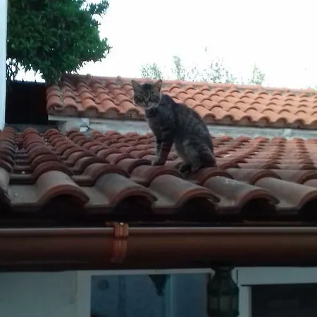 Casa De Falco Pensionat *